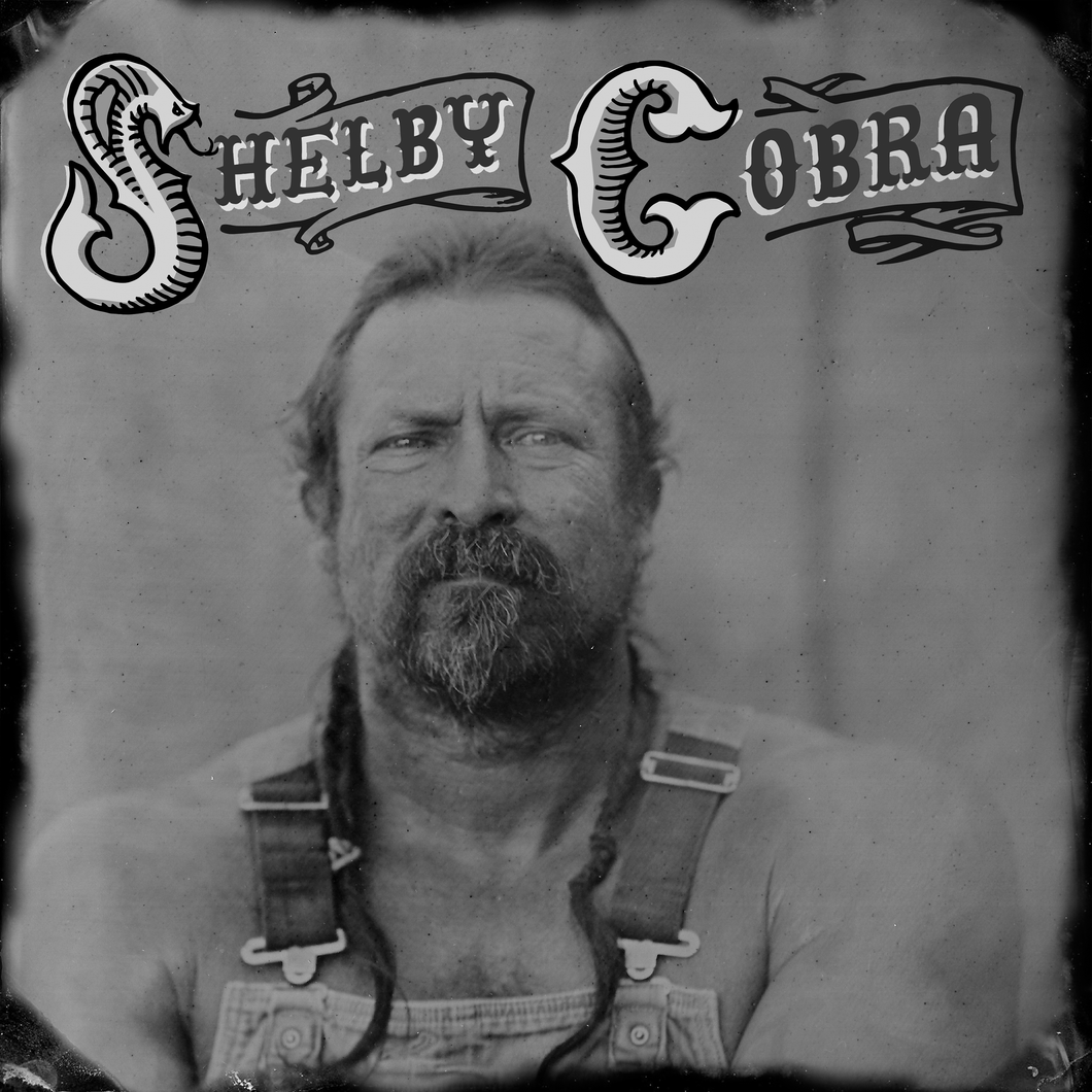 PRE-ORDER! Shelby Cobra NEW Album on 12